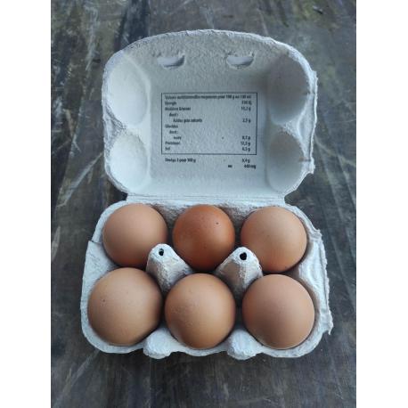 6 oeufs plein air sans OGM
