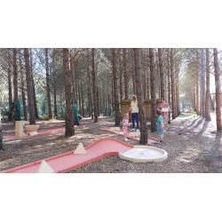 Mini Golf