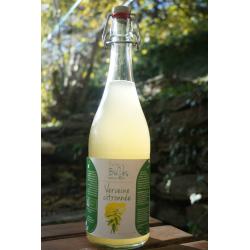 Limonade Verveine citronnée