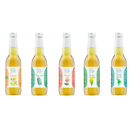 Pack Découverte 12 Limonades 33 cl