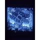 Ligthbox Tortue