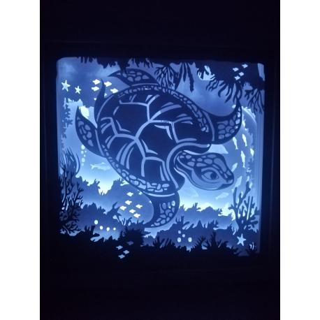 Ligthbox Tortue