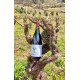 Cuvée Aqueste Cop