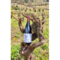 Cuvée Aqueste Cop