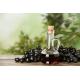 VINAIGRE DE PRUNE ROUGE