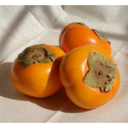 Confiture Pomme Kaki Epice