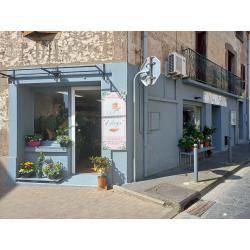 Les fleurs d'Ange