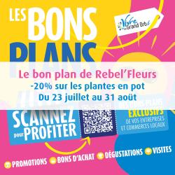 -20% sur toutes les plantes en pot du 23 au 31 août