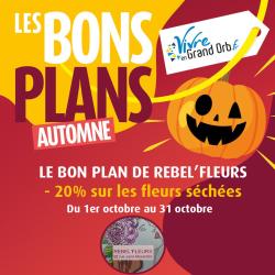 -20% sur toutes les plantes en pot du 23 au 31 août -20% sur toutes les plantes en pot du 23 au 31 août