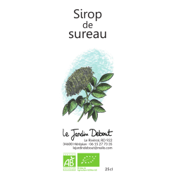 Sirop de Sureau