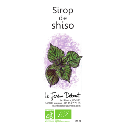 sirop shiso