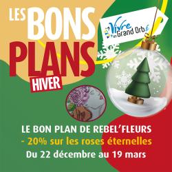 -20% sur les roses éternelles du 22 décembre au 19 mars !