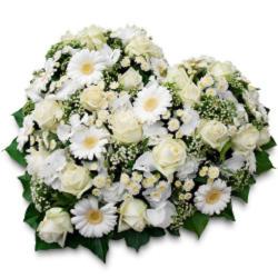 Fleurs de deuil, Coupe de plantes