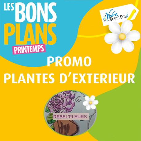 -20% sur les roses éternelles du 22 décembre au 19 mars !