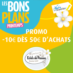-10€ dès 50€ d'achat du 20 mars au 20 juin !