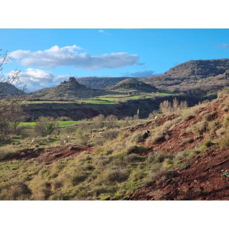 Colis de viande bovine