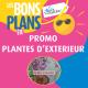 -20% sur les plantes d'extérieur du 21 juin au 21 septembre !