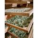 Sauge officinale bio - 15g