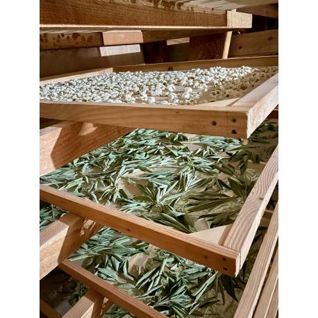 Sauge officinale bio - 15g