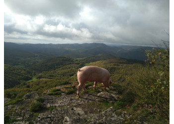 Ferme des Monts et des Sources 